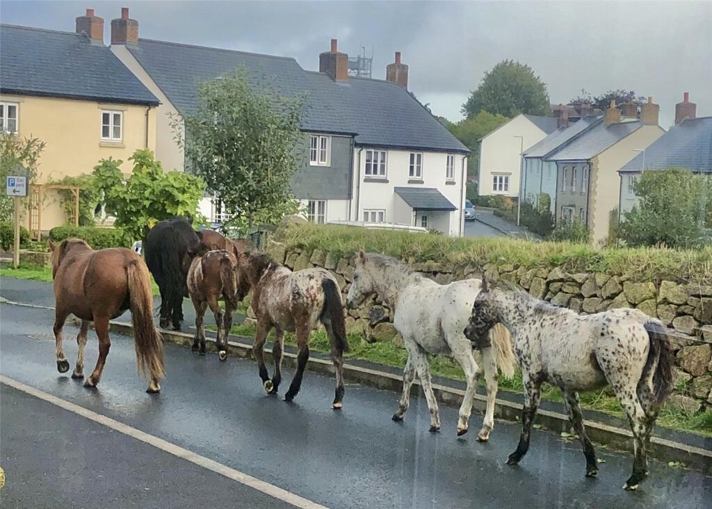 Local Neighbours