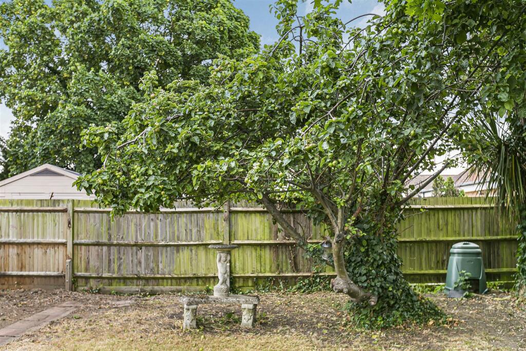 Chattern Road Apple Tree.JPG