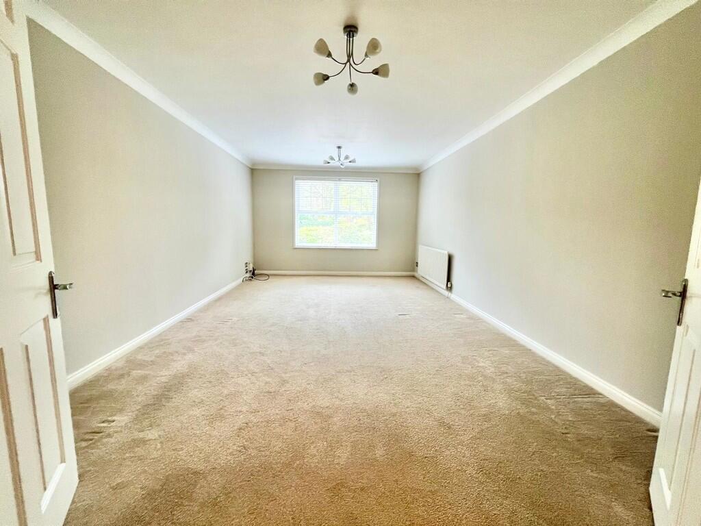 WhatsApp Image 20...