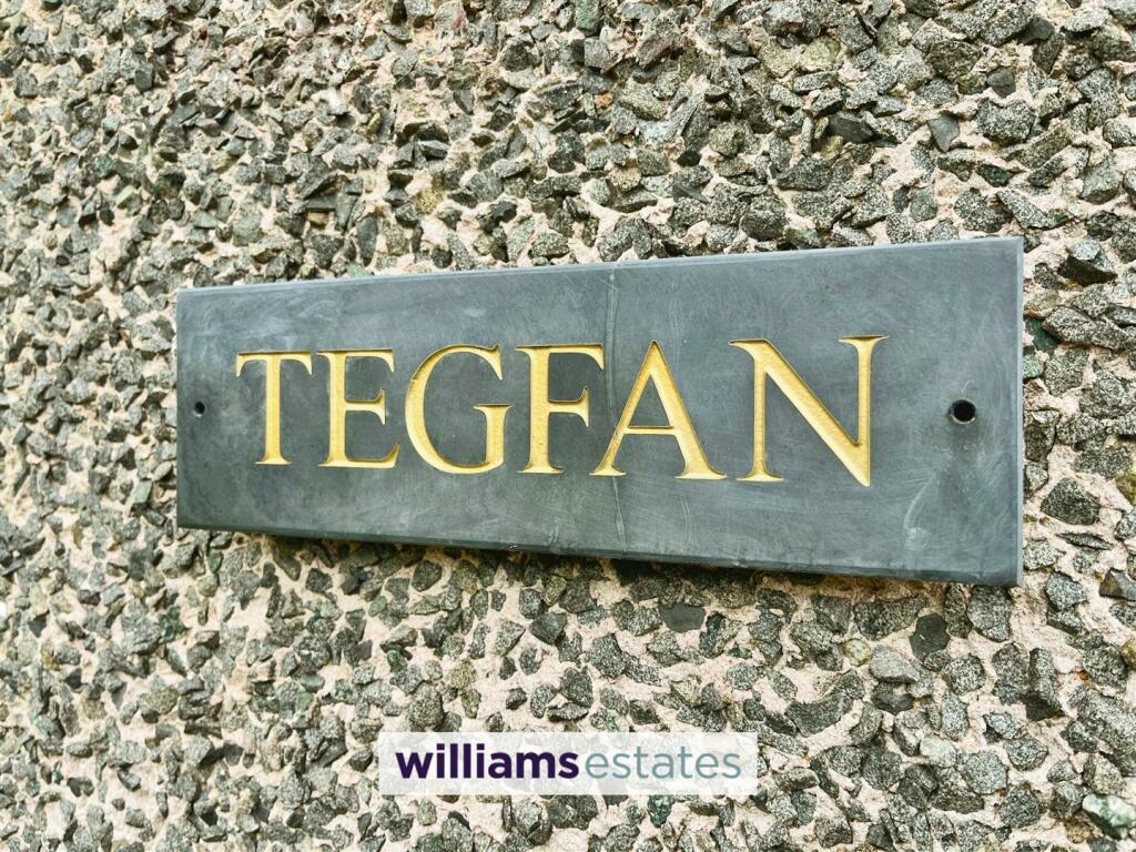 Tegfan