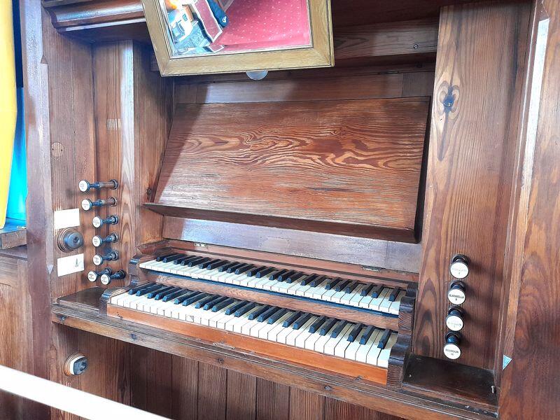 Organ