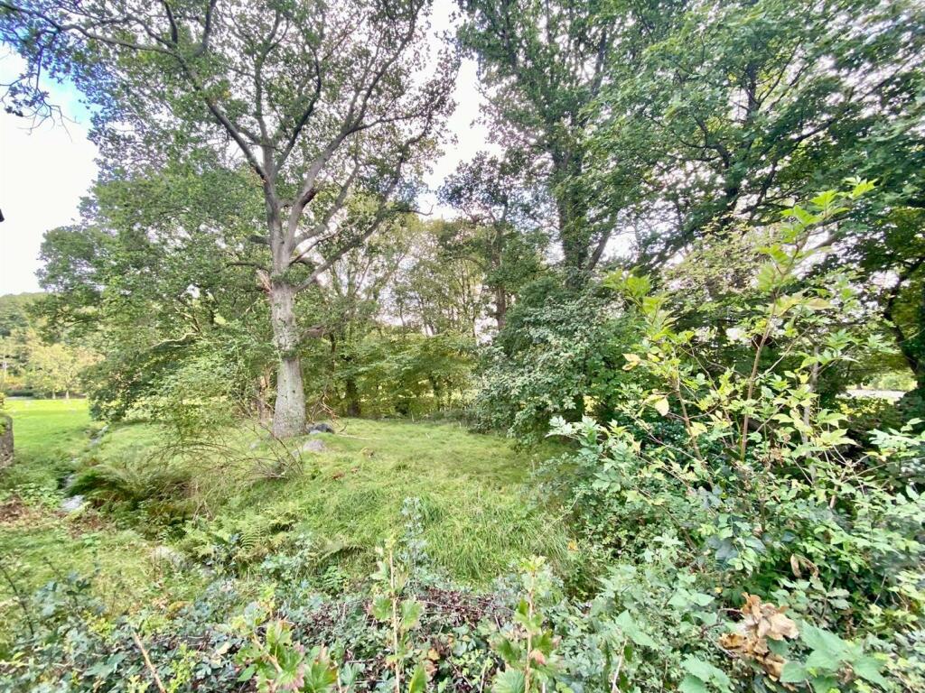 PHOTO-2023-09-27-14-25-41 (1).jpg