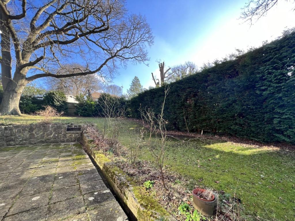 garden 2.jpg