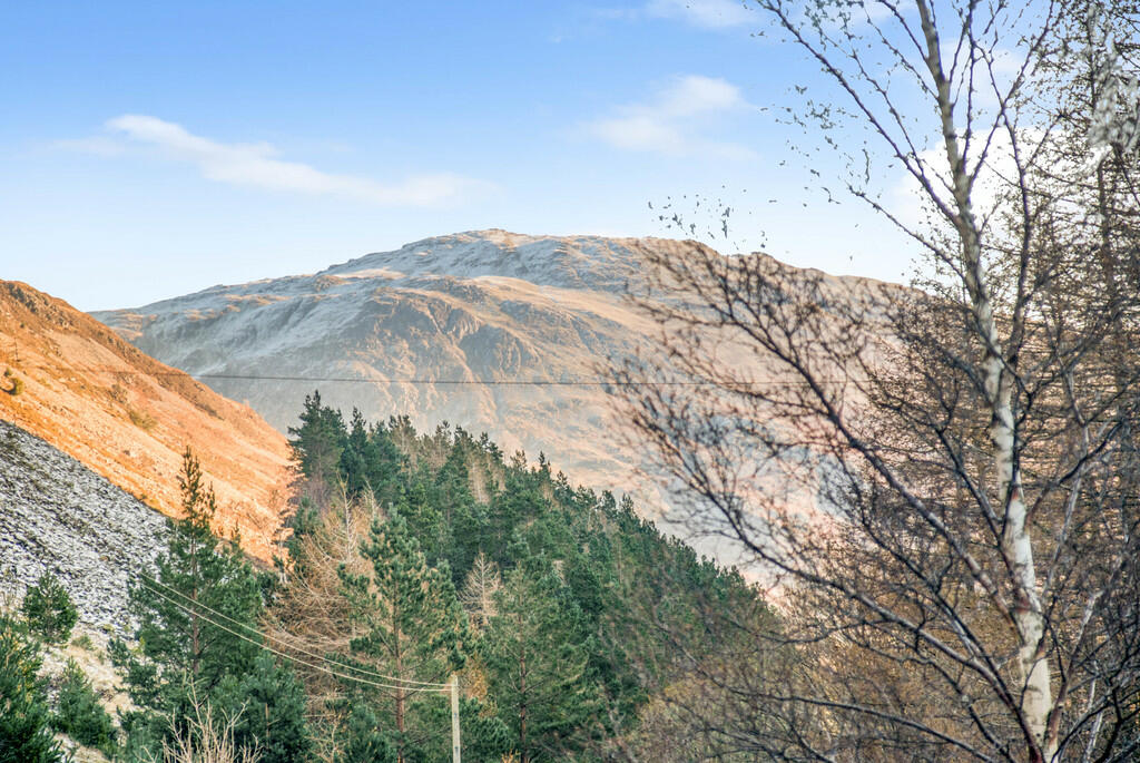 Fell Views