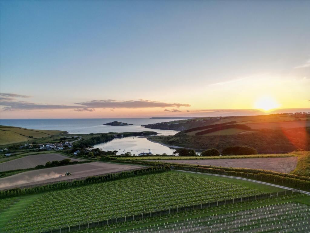 Bantham Vineyard, Bantham, Kingsbridge, Devon, TQ7 3AN