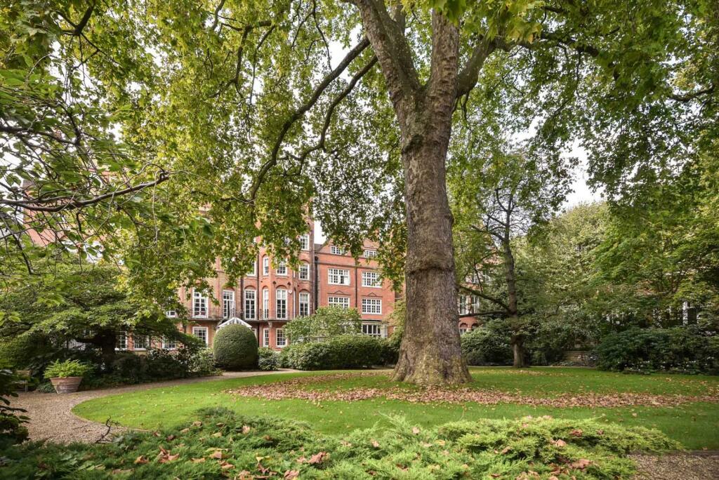 Collingham Gardens 7_18-5-2.jpg