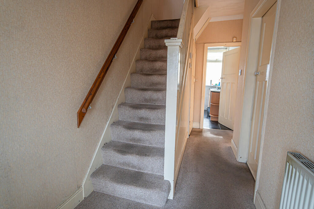 20250310-DSC03256...
