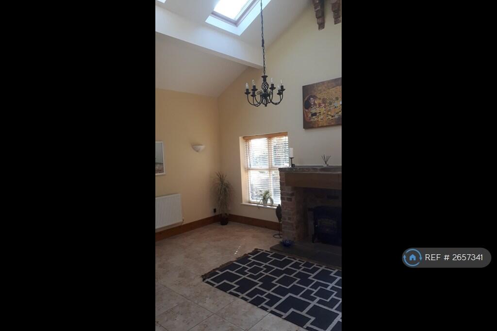 Vaulted Living Room