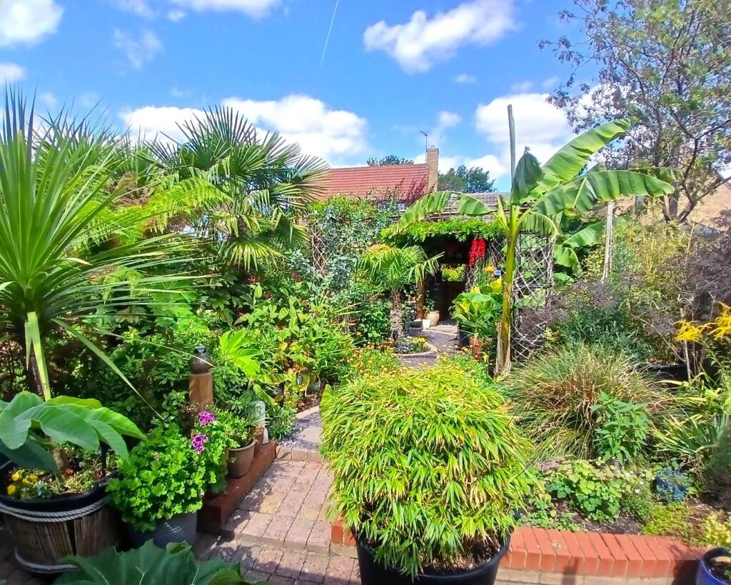 Garden.jpg