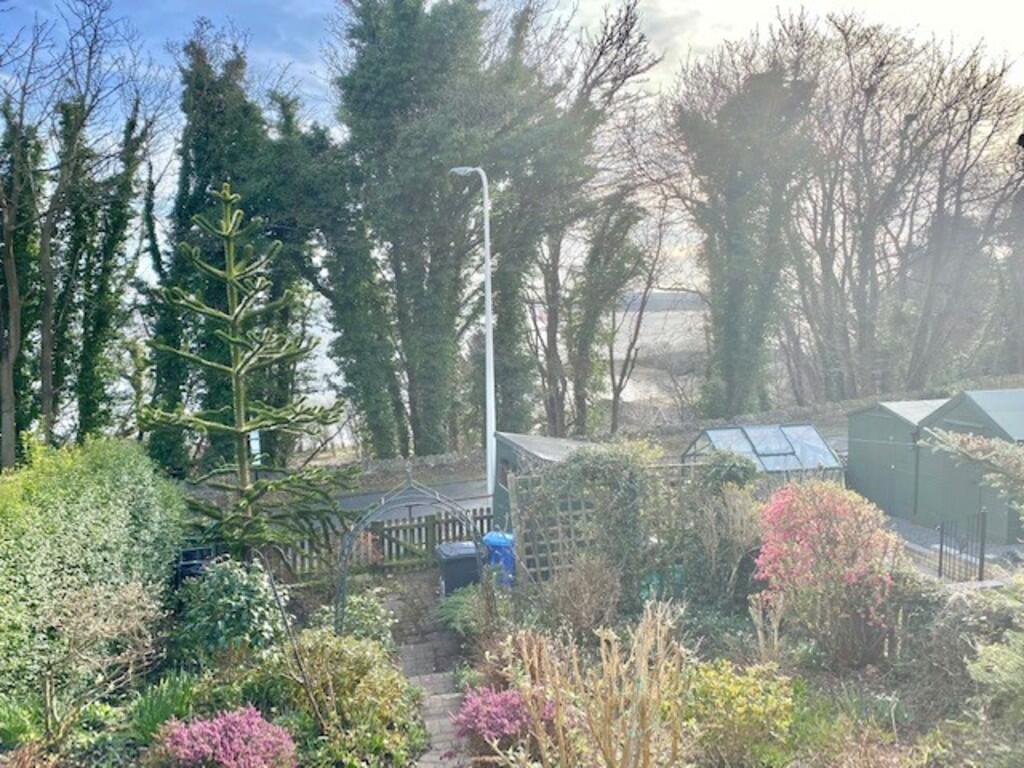 Back Garden with ...