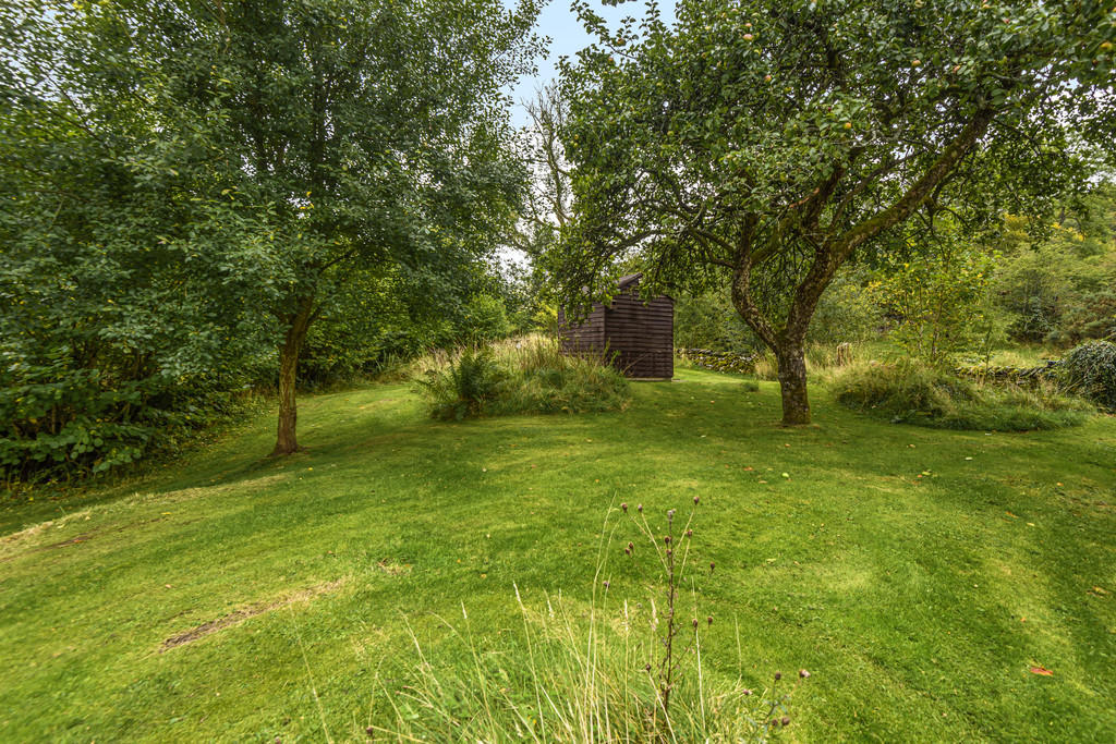 Orchard