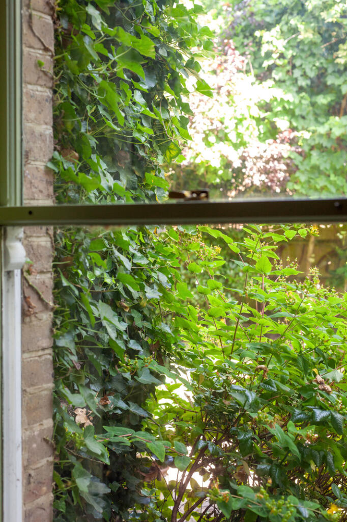 296203 - BeulahHill_KElliott_030.jpg