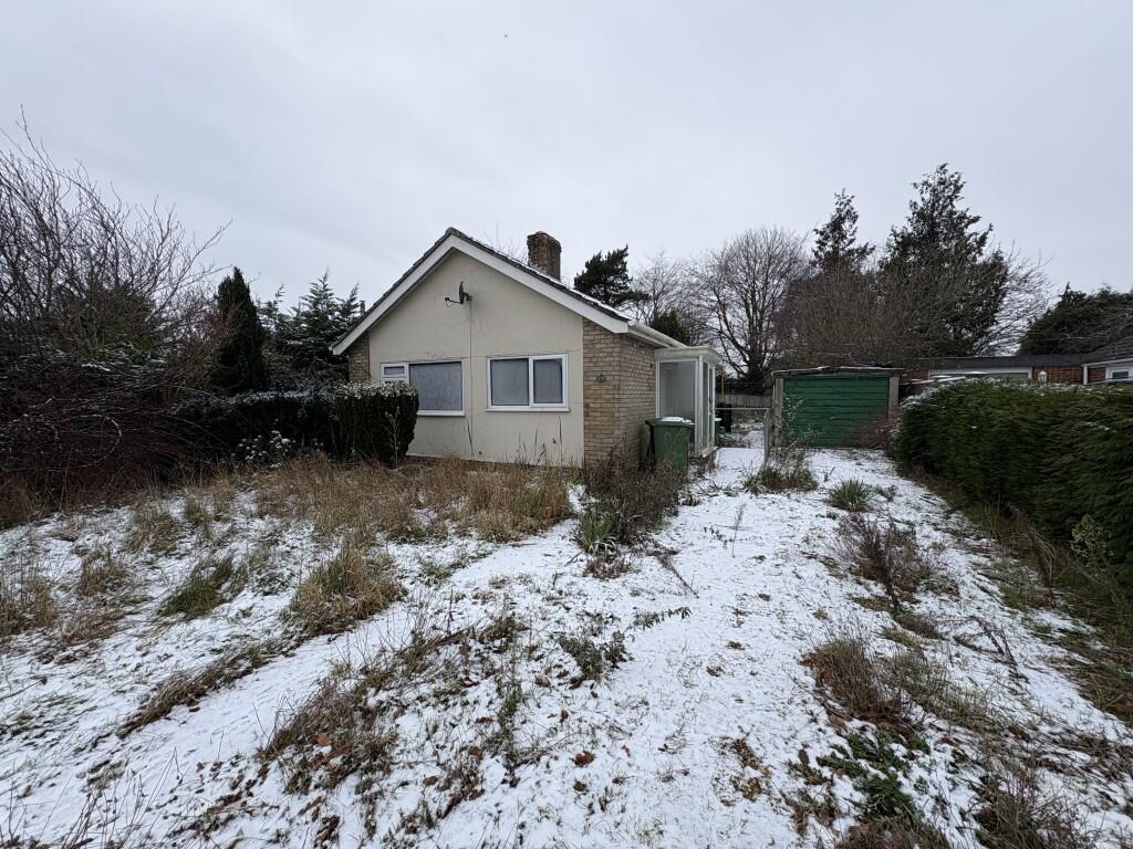 1  Medium  T202601080948.jpg