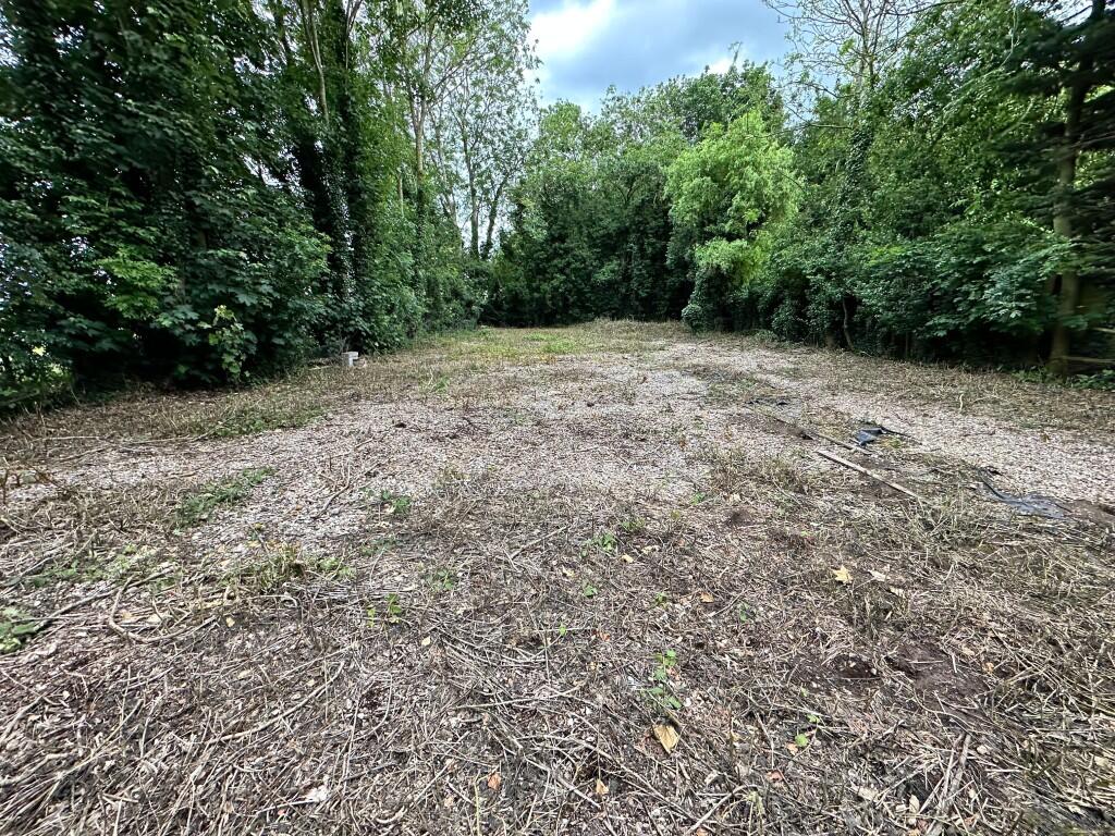 5 T202506121519.jpeg