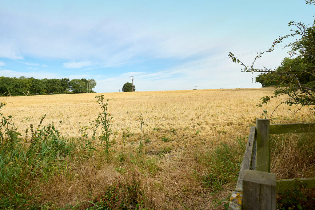 view to rear