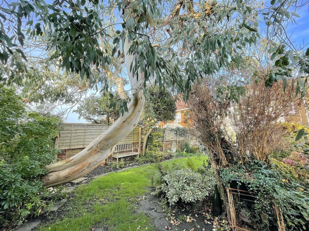 Garden (8).jpeg