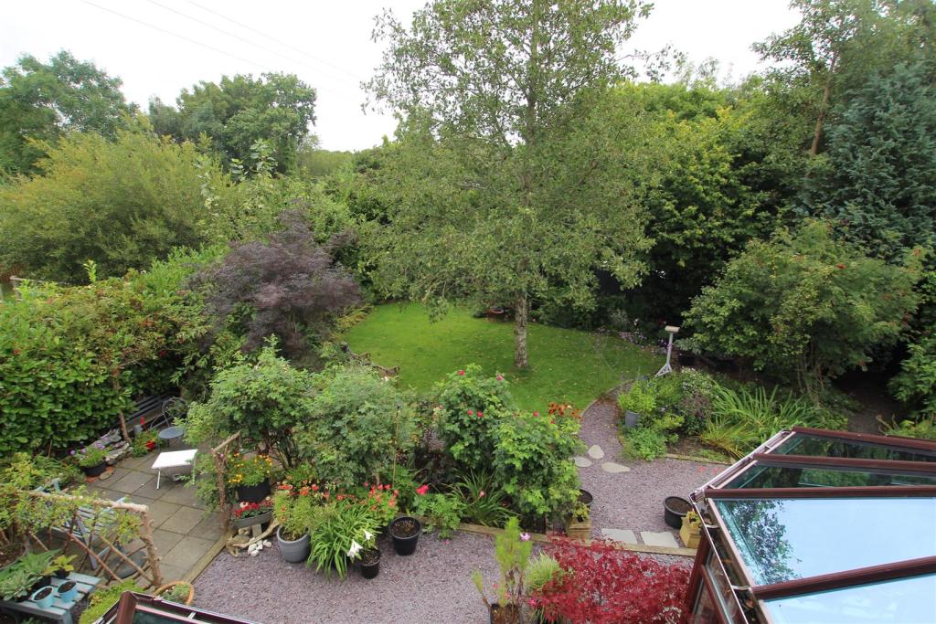 garden from bed 2.JPG