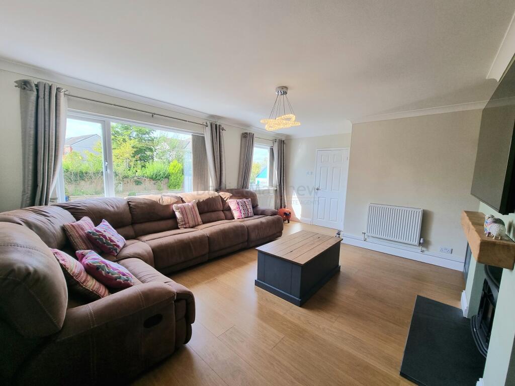 Lounge/Bedroom