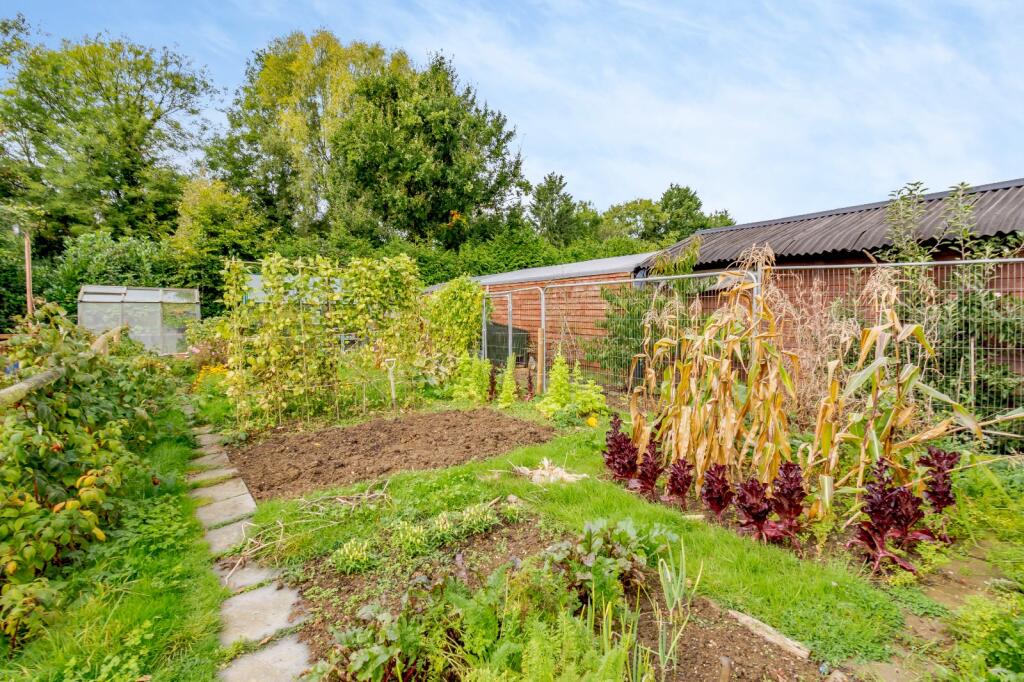 Vegtable Garden