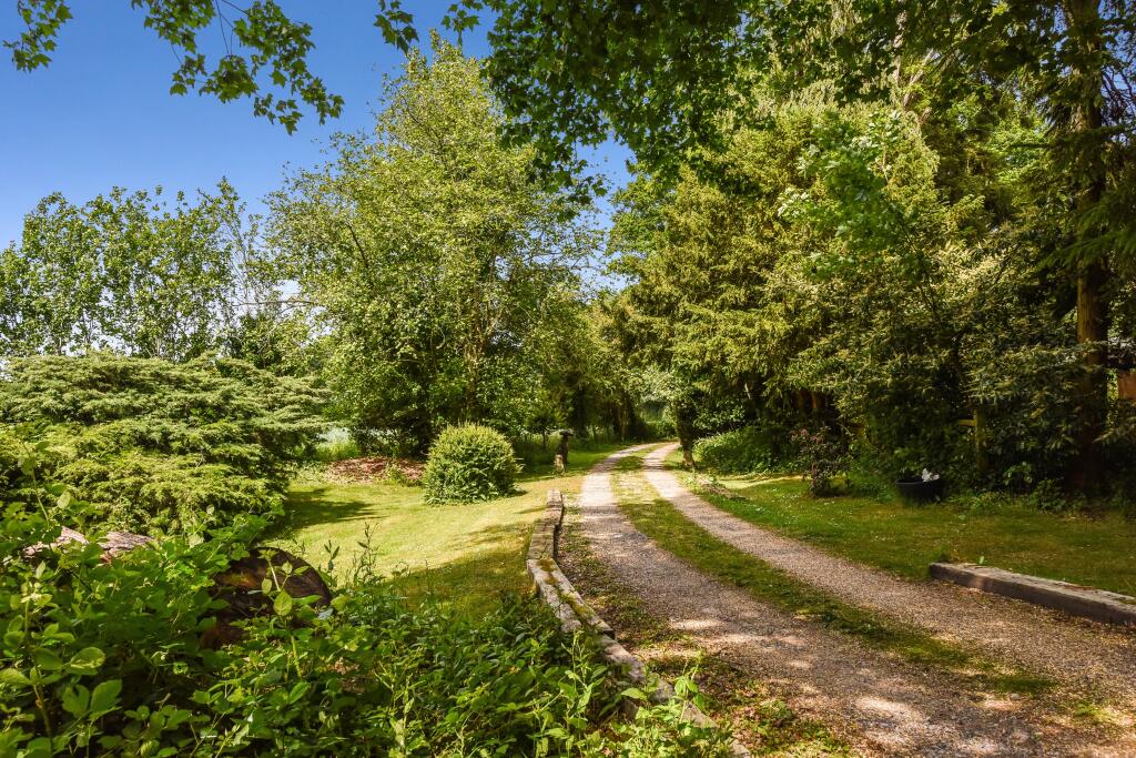 Driveway