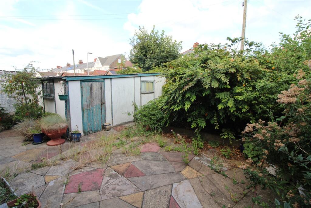 IMG 6535  Medium  T202509101545.jpg