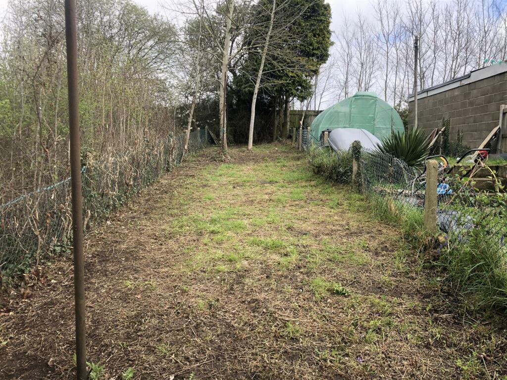 rear garden.jpg