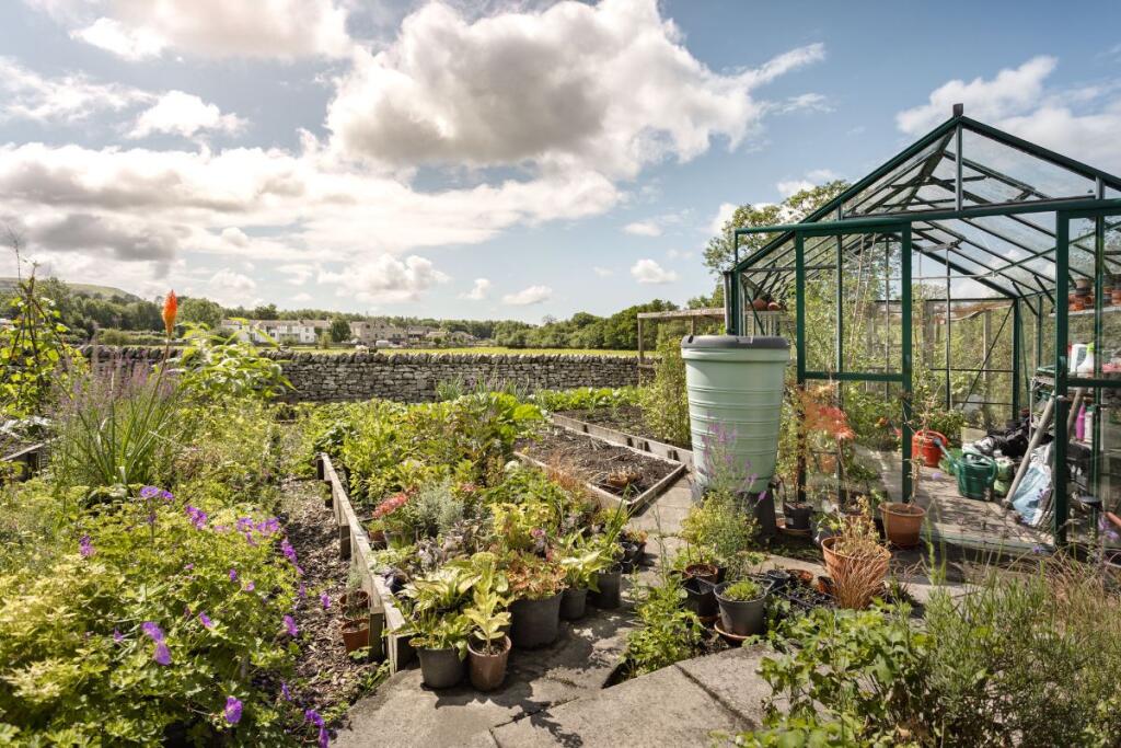Vegetable Garden