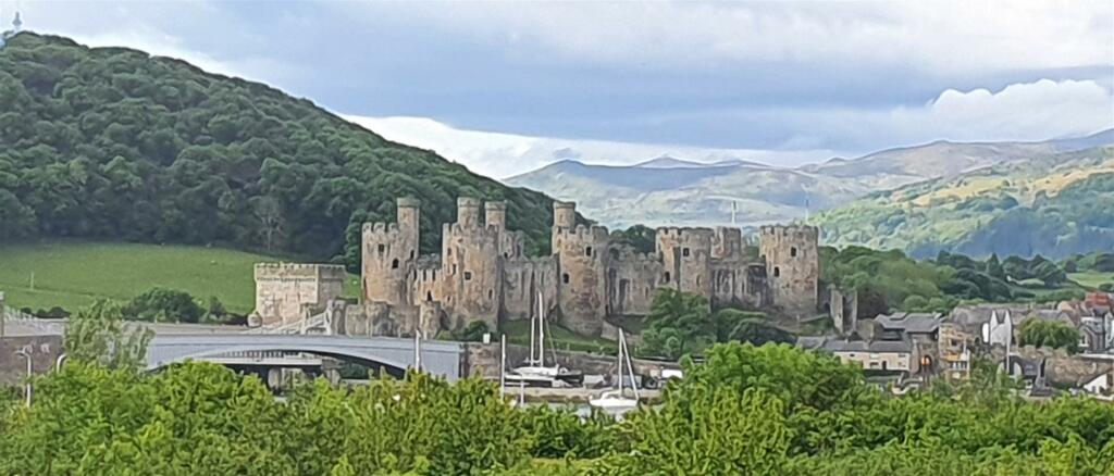 9B 20220515_093746.jpg