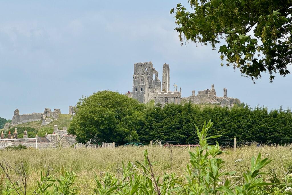 View from the bottom of the Garden