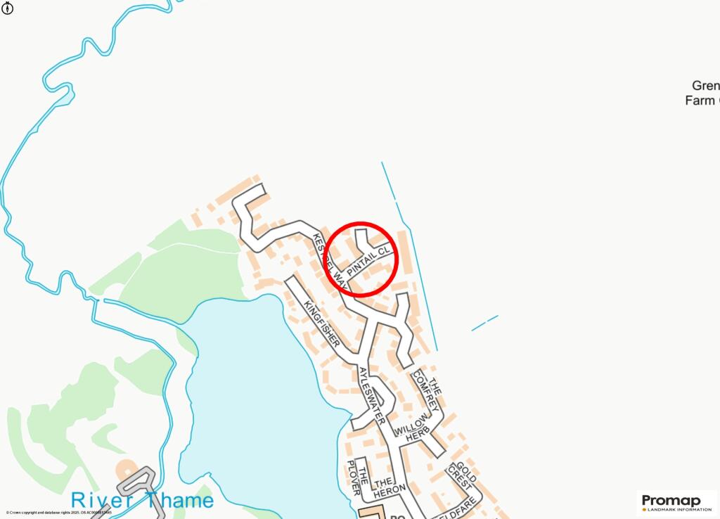 Street Map