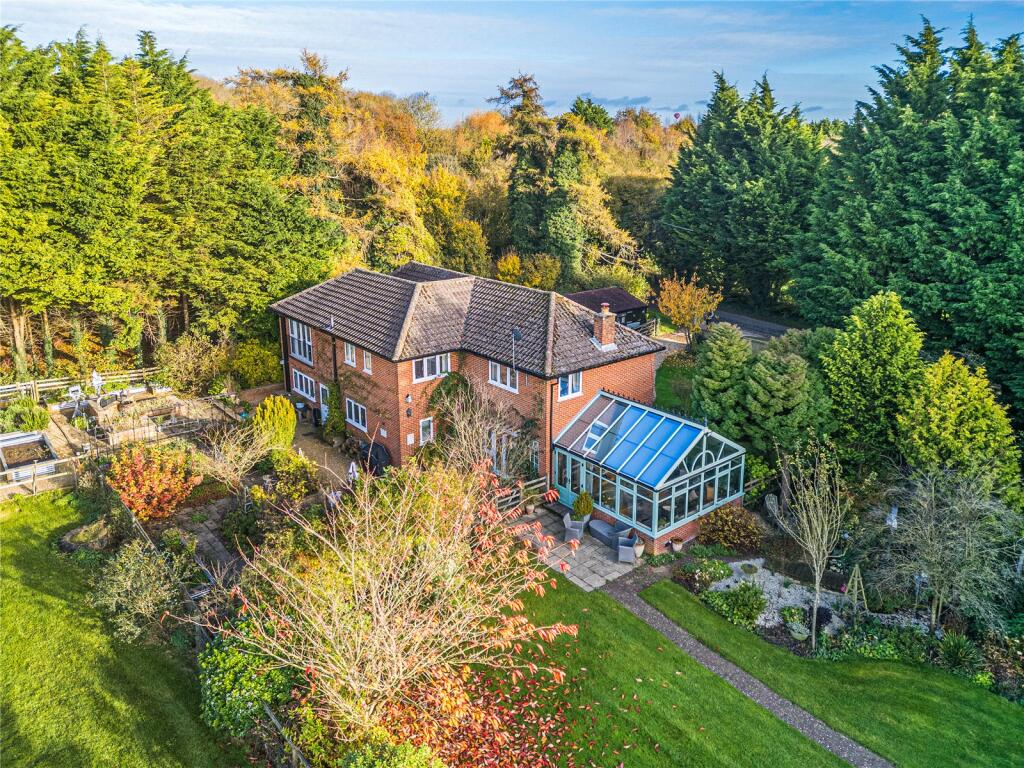 Picture No. 16