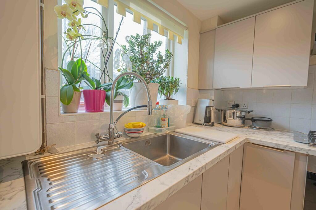 20250106-DSC01952...