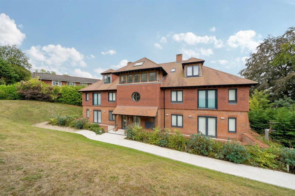 1031565 (1)-1920.jpg