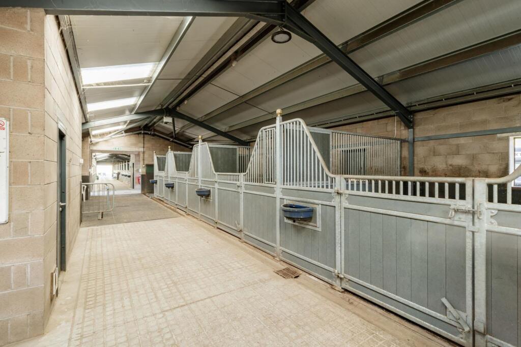 Willowsway Stud,_79-web.jpg
