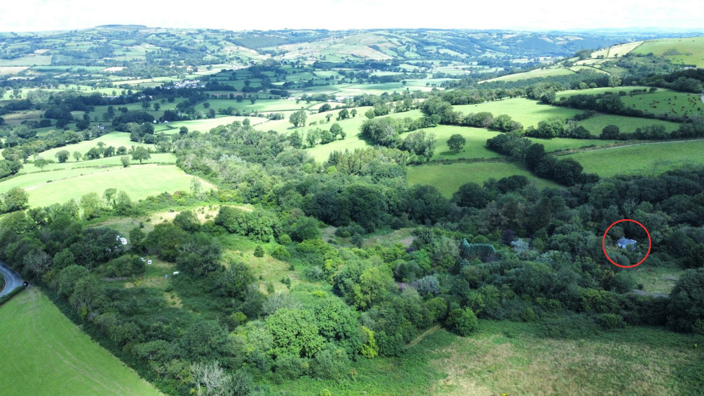 Untitled design-5.png