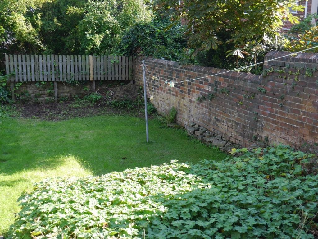Sunny garden