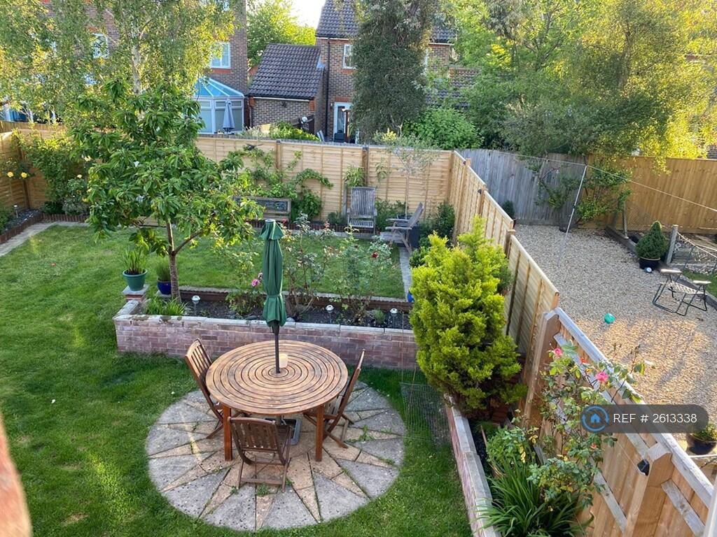 Garden During Summer