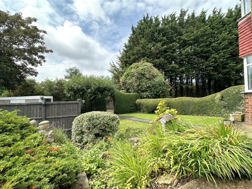 Front Garden 462