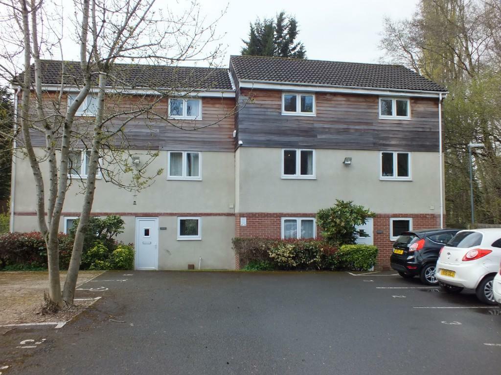 Front of Links View