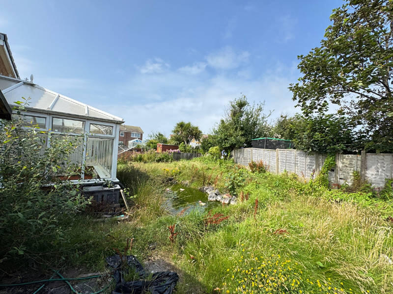Rear of Property