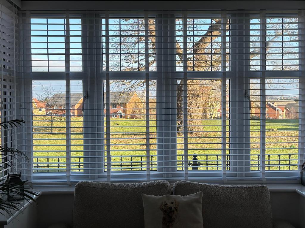 Feature Window