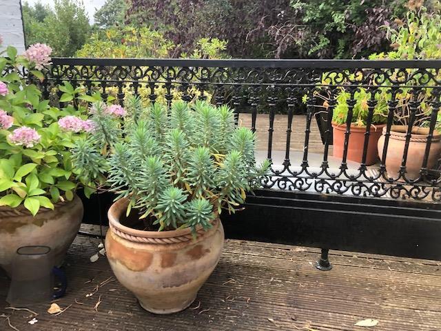 Roof Terrace