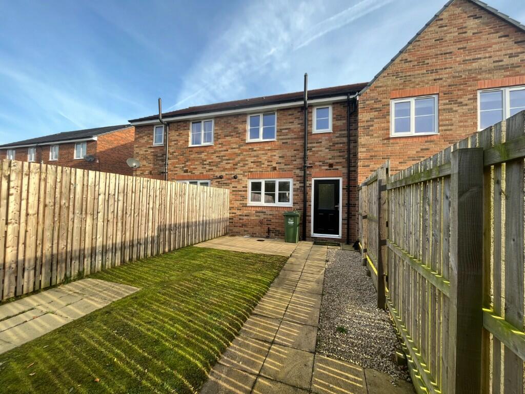 rear garden new 