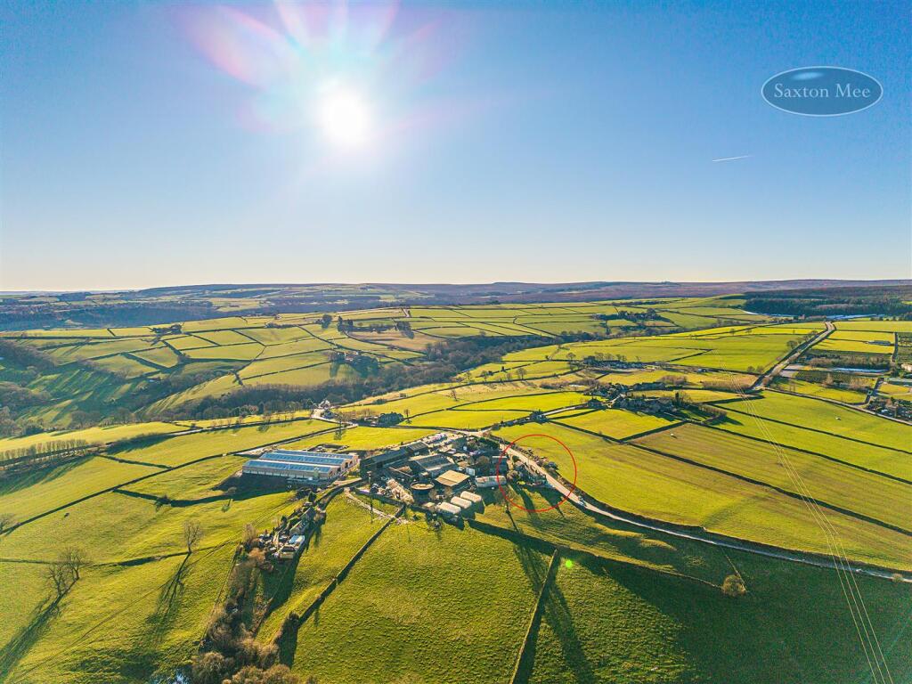 DJI_20250116131047_0201_D copy.jpg