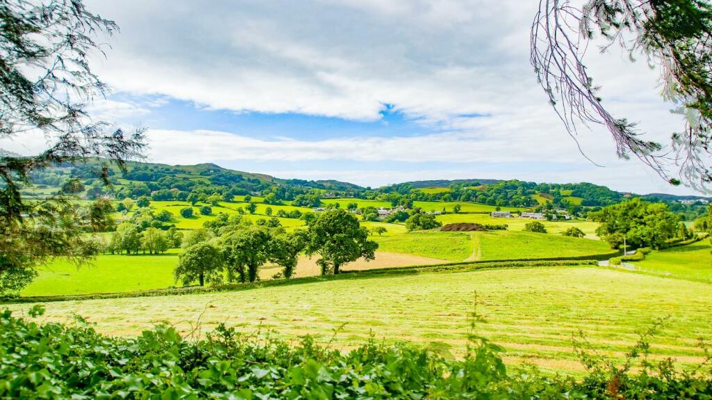 PHOTO-2024-07-20-12-50-25 (10).jpg