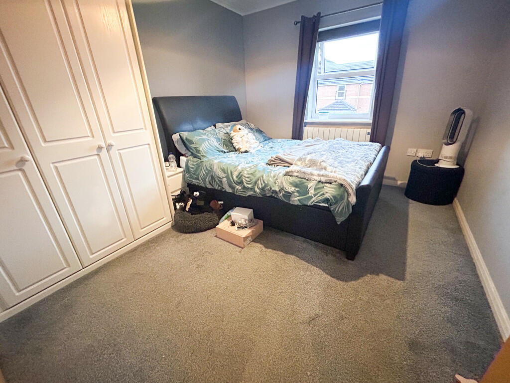 image_50409985 (1...