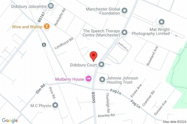 Google Maps Image