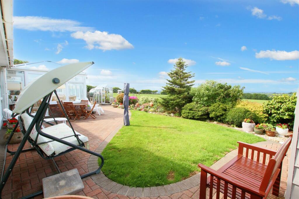 back garden