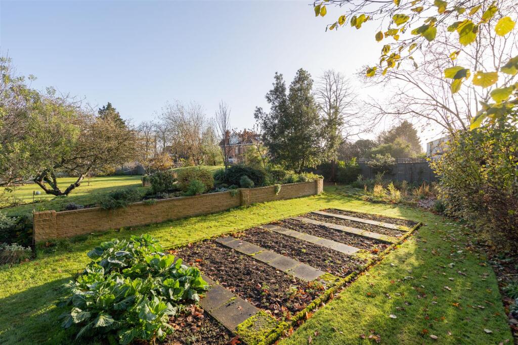 Garden Plot