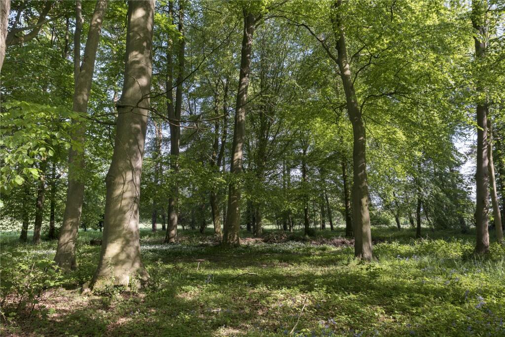 Woodland